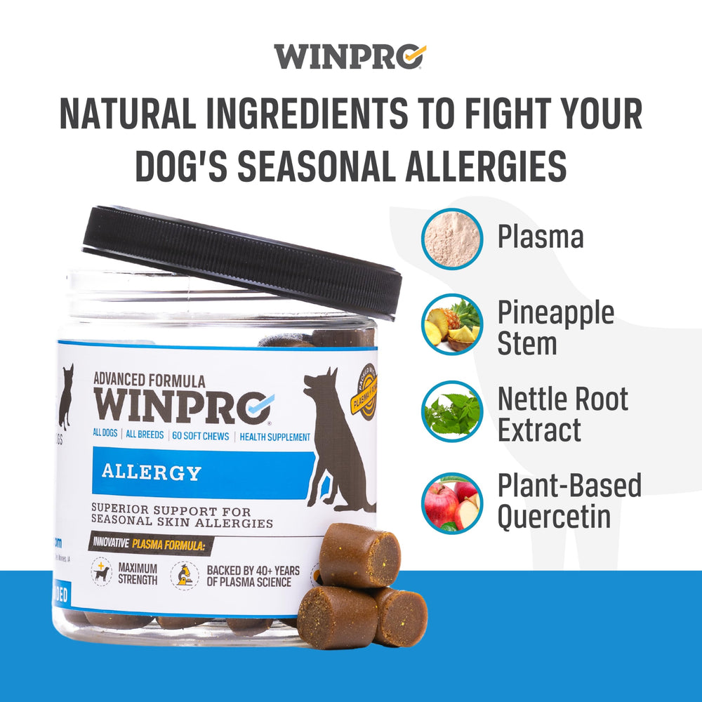 Soft chews held in hand demonstrating easy dosing for dogs of different sizes