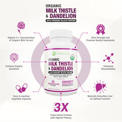 Wiseceutical 5:1 milk thistle extract powder close-up emphasizes high concentration.