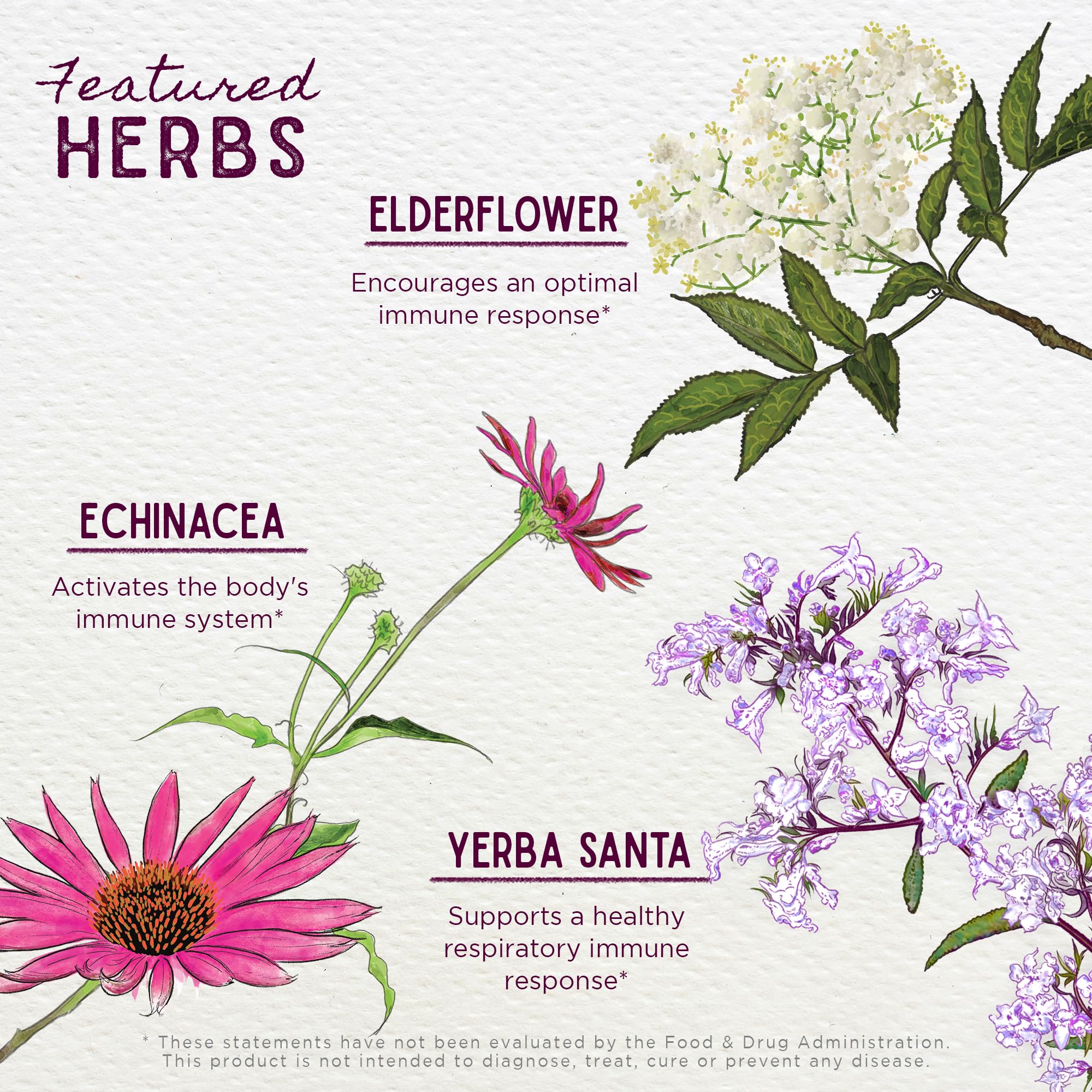 WishGarden Echinacea purpurea root joins immune-supporting herbs.