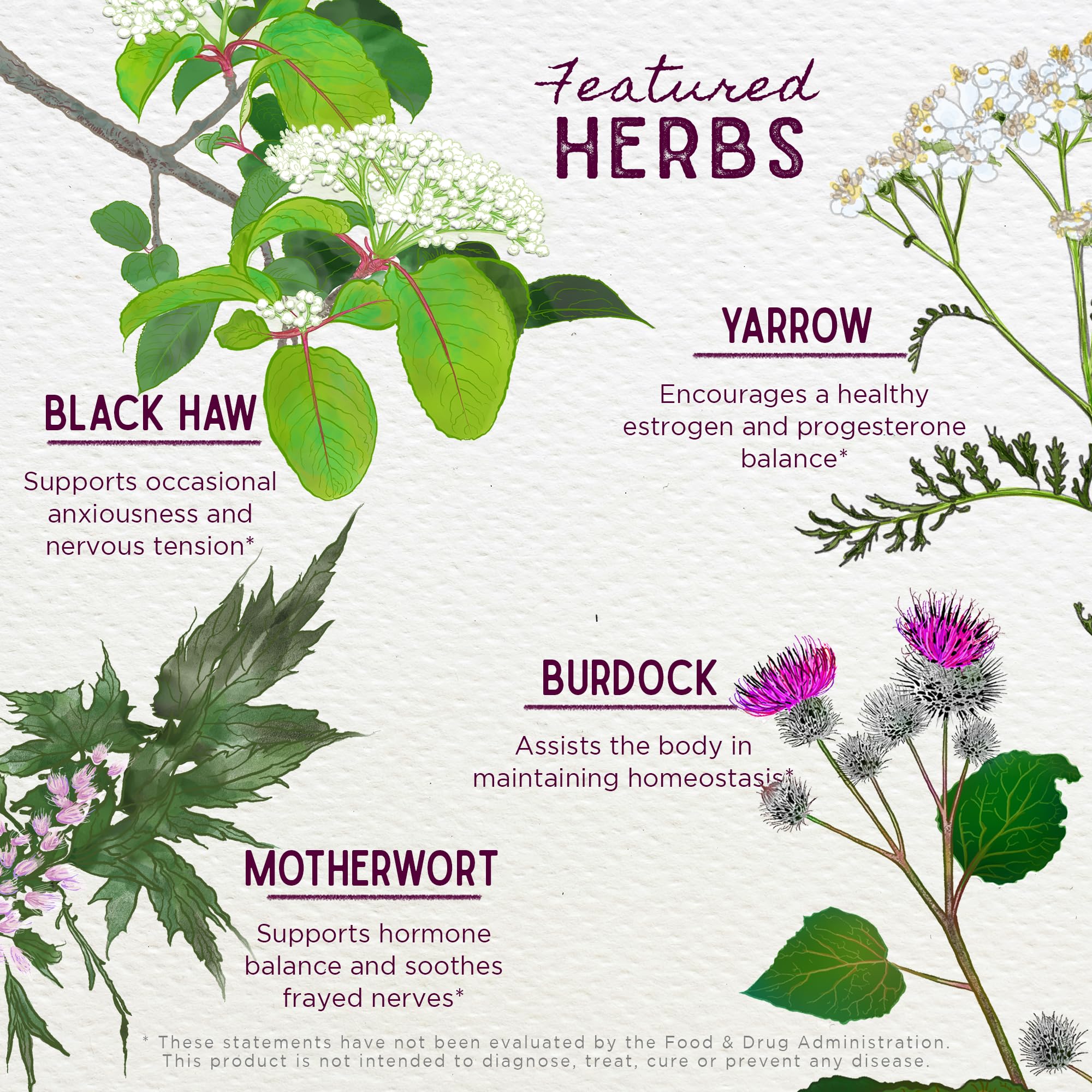 WishGarden ReBalance St John's Wort flowers indicate mood-support ingredients.