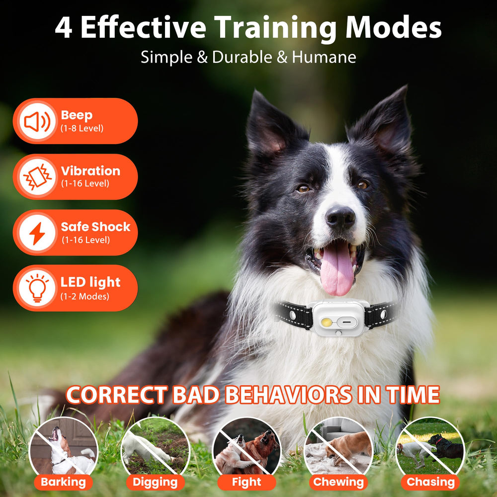 Wissilor dog training collar neck strap for a soft, durable fit