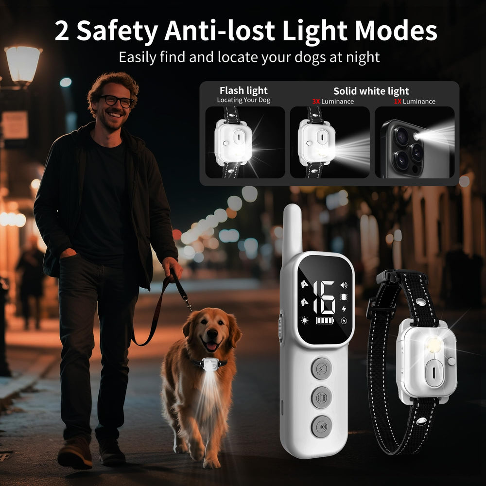 Wissilor dual-channel remote supports training two dogs