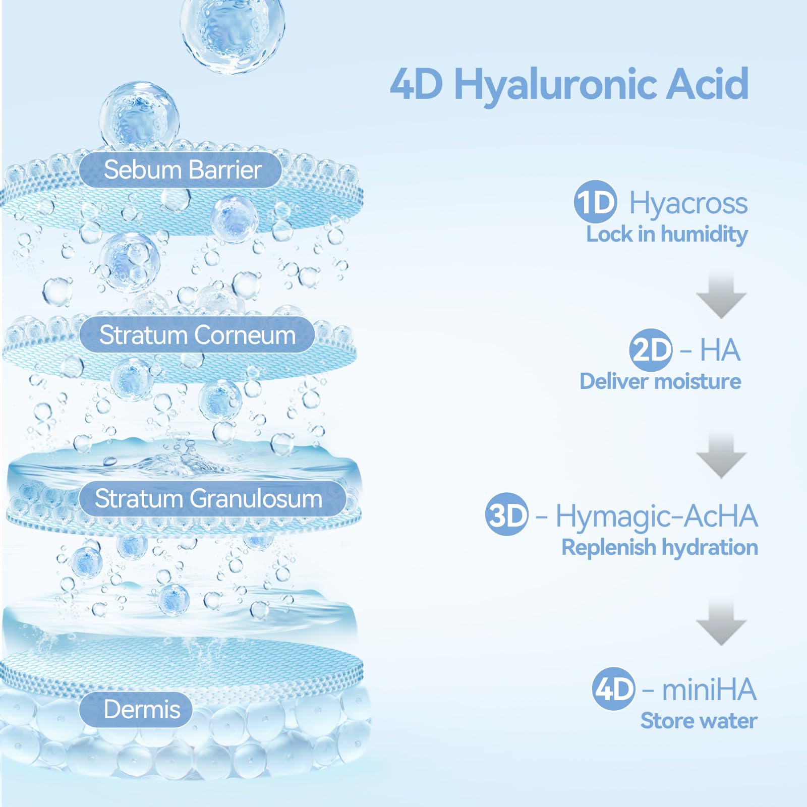 WNP Dermal Layer with ecotin and probiotics for barrier health.