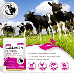 WOJBALMN collagen powder stirred into coffee for a smooth boost
