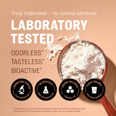 Measuring scoop beside WoldoHealth collagen peptides for precise serving