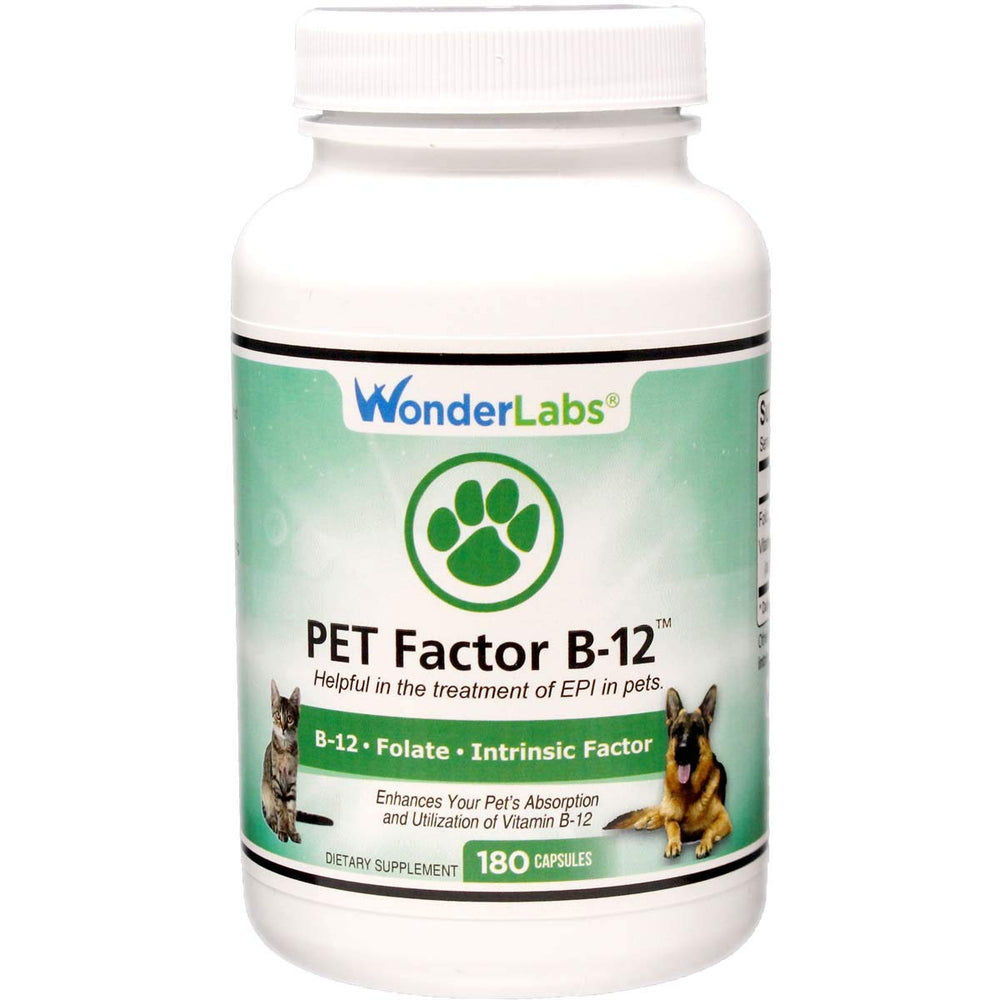 Wonder Laboratories Pet Factor B-12 capsules close-up for easy daily supplementation.