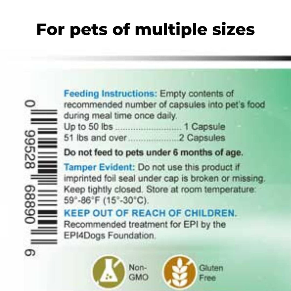 Wonder Laboratories Pet Factor B-12 bottle on kitchen counter for home supplementation.