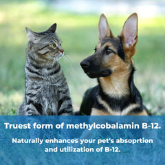 Wonder Laboratories Pet Factor B-12 bottle side view with methylcobalamin and folic acid.