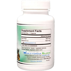 Wonder Laboratories Pet Factor B-12 bottle front view for convenient at-home use.