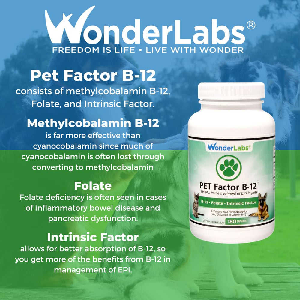 Wonder Laboratories Pet Factor B-12 capsules with dosing guidance.