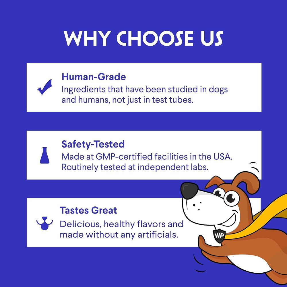 Active dog benefiting from omega-rich Wonder Paws oil for joints
