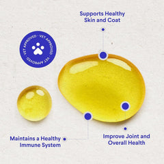 Close-up of salmon, cod, and krill oils used in Wonder Paws