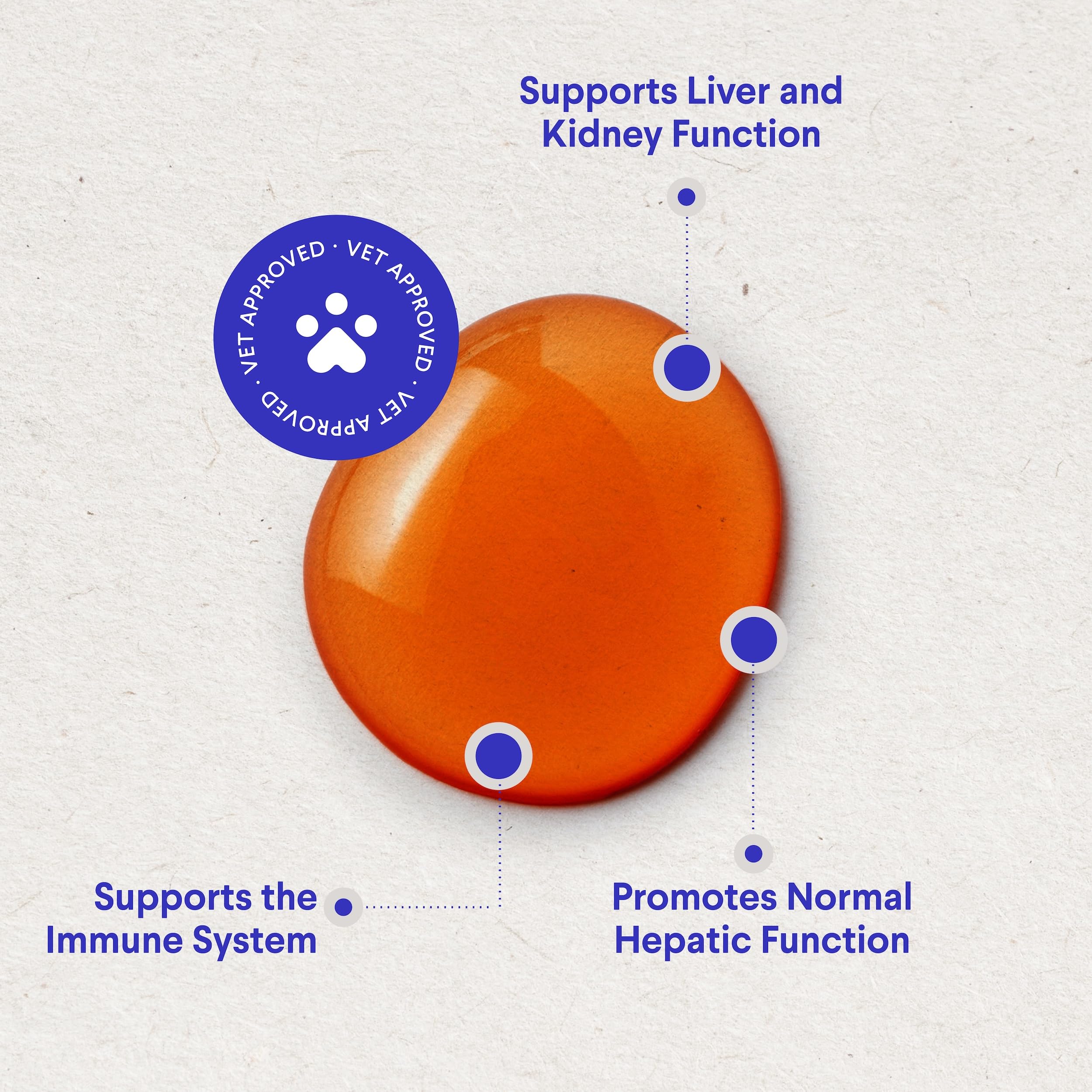 Wonder Paws Milk Thistle ingredients panel highlighting milk thistle and curcumin.