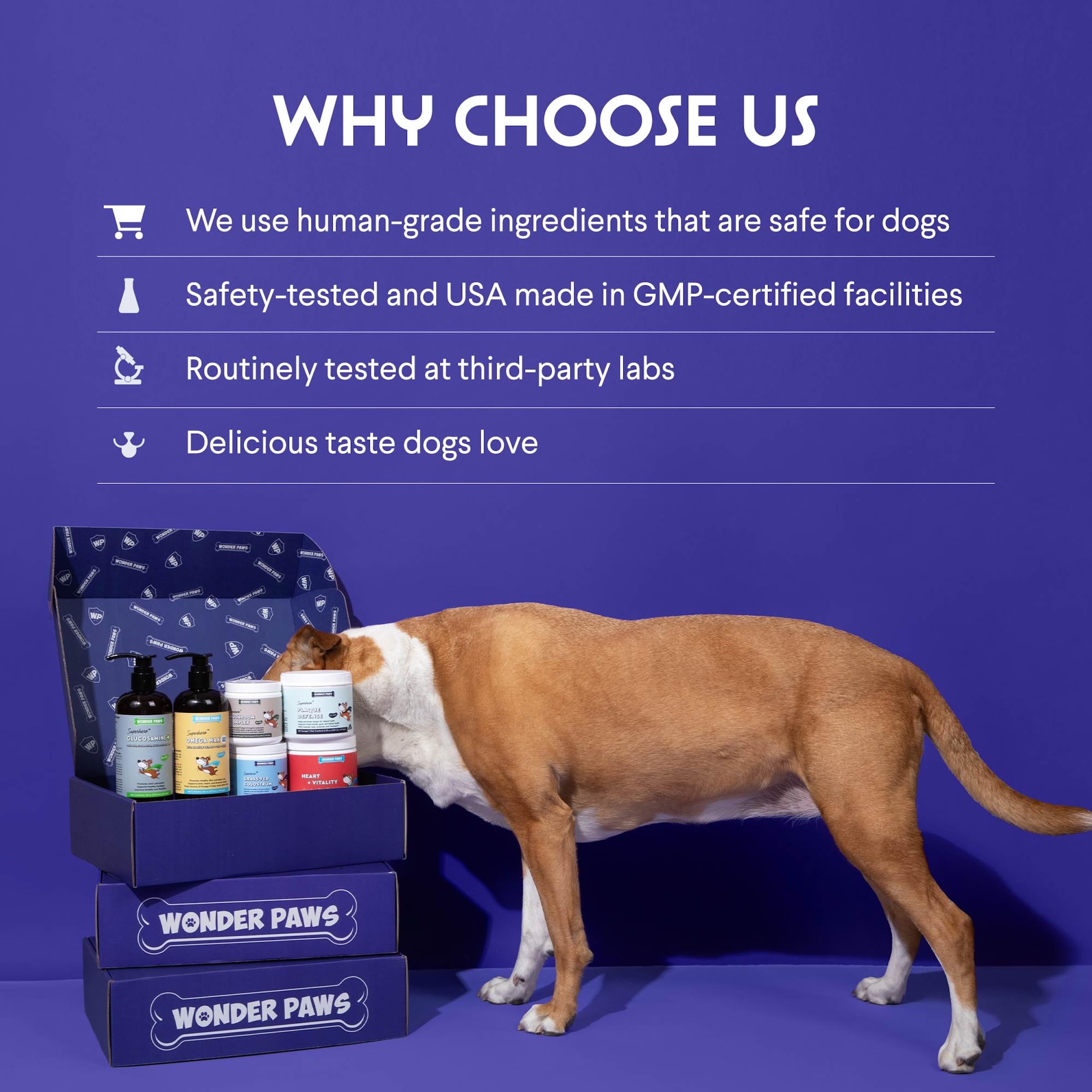 Wonder Paws Milk Thistle made in the USA in a GMP facility.