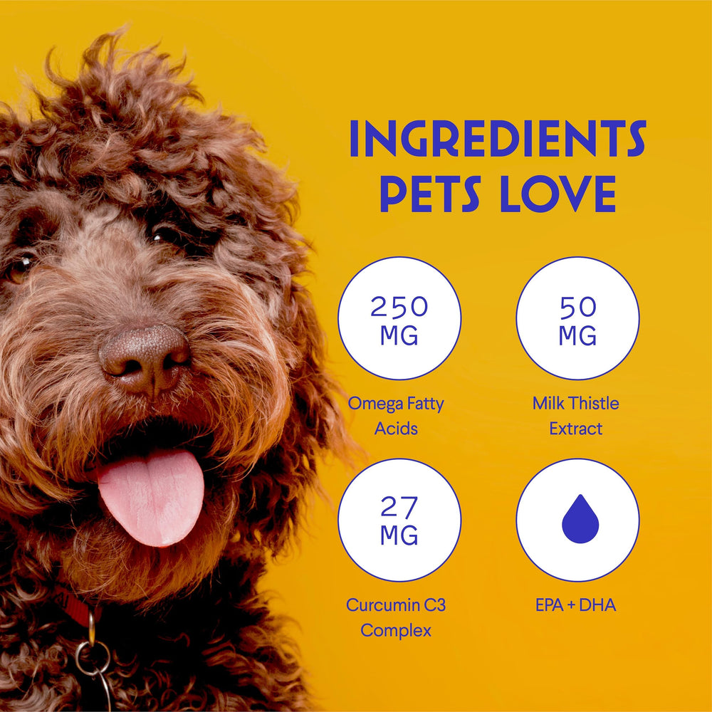 Wonder Paws Milk Thistle with Wild Alaskan Salmon Oil emphasizes omega-3 benefits.