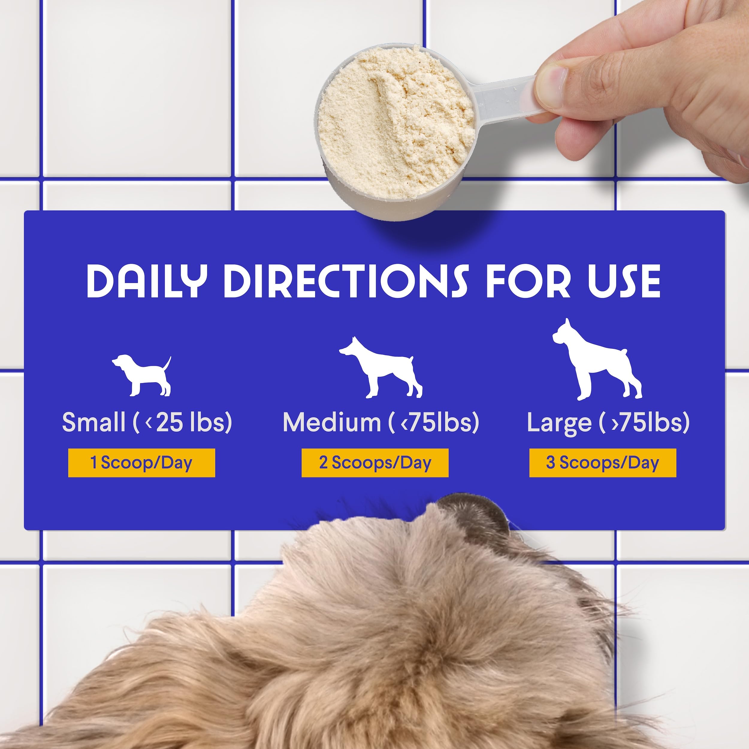 Wonder Paws organic mushroom blend in a scoop conveys a simple daily routine.