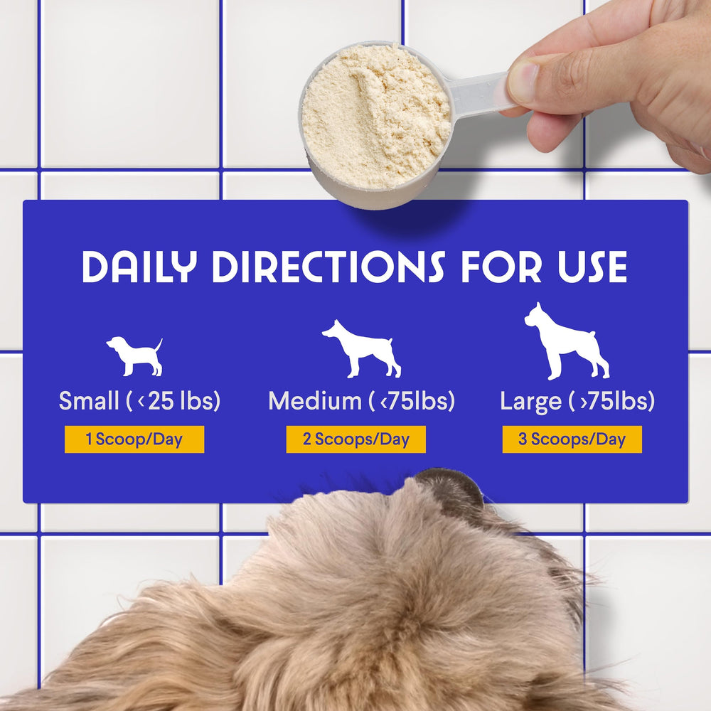 Wonder Paws organic mushroom blend in a scoop conveys a simple daily routine.