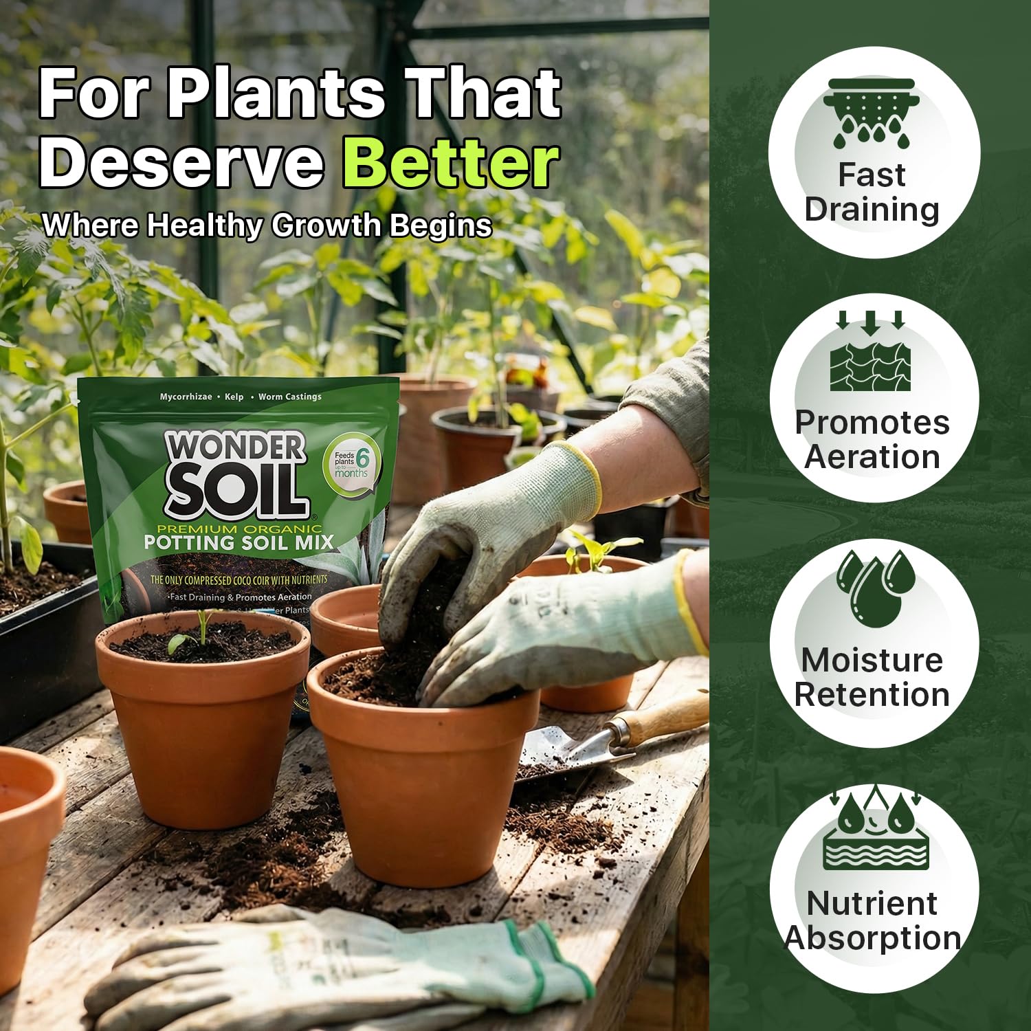 Wonder Soil enhances water retention while preventing soggy roots.