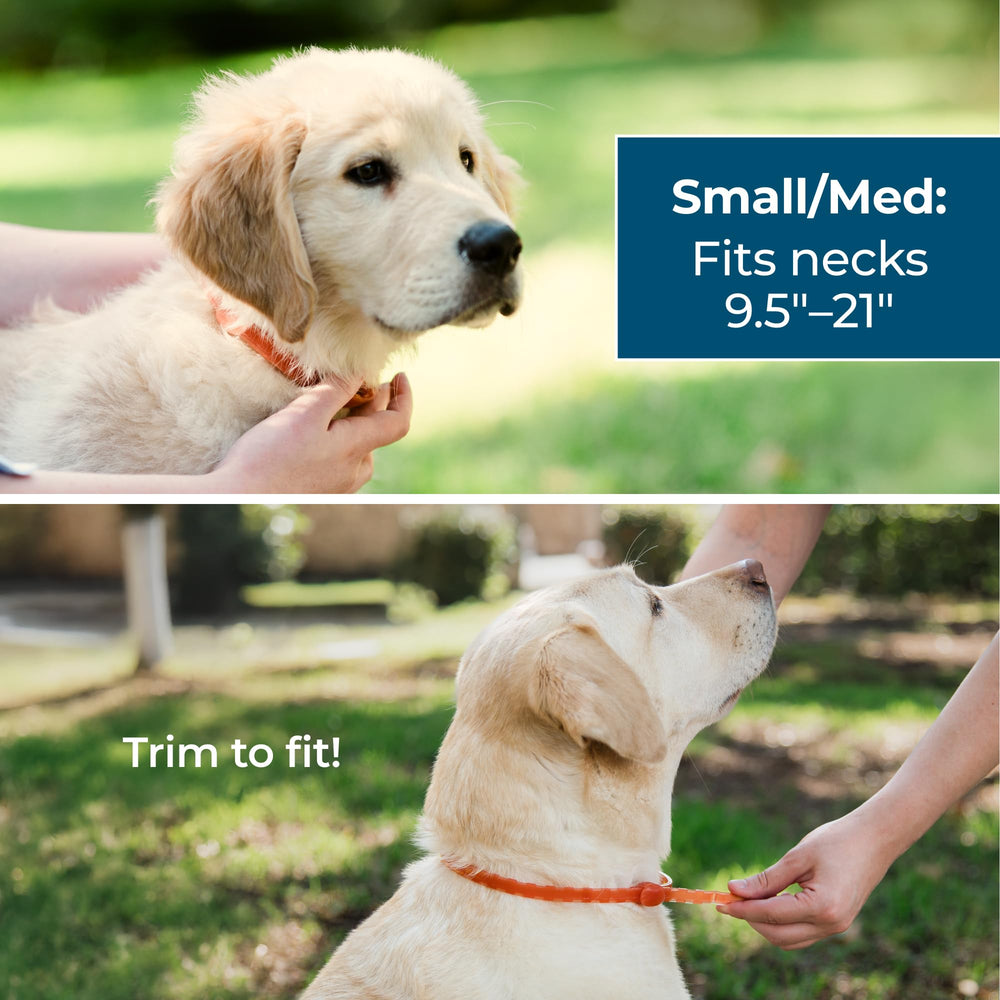 Wondercide dog collar demonstrates easy cut-to-fit for small to medium dogs