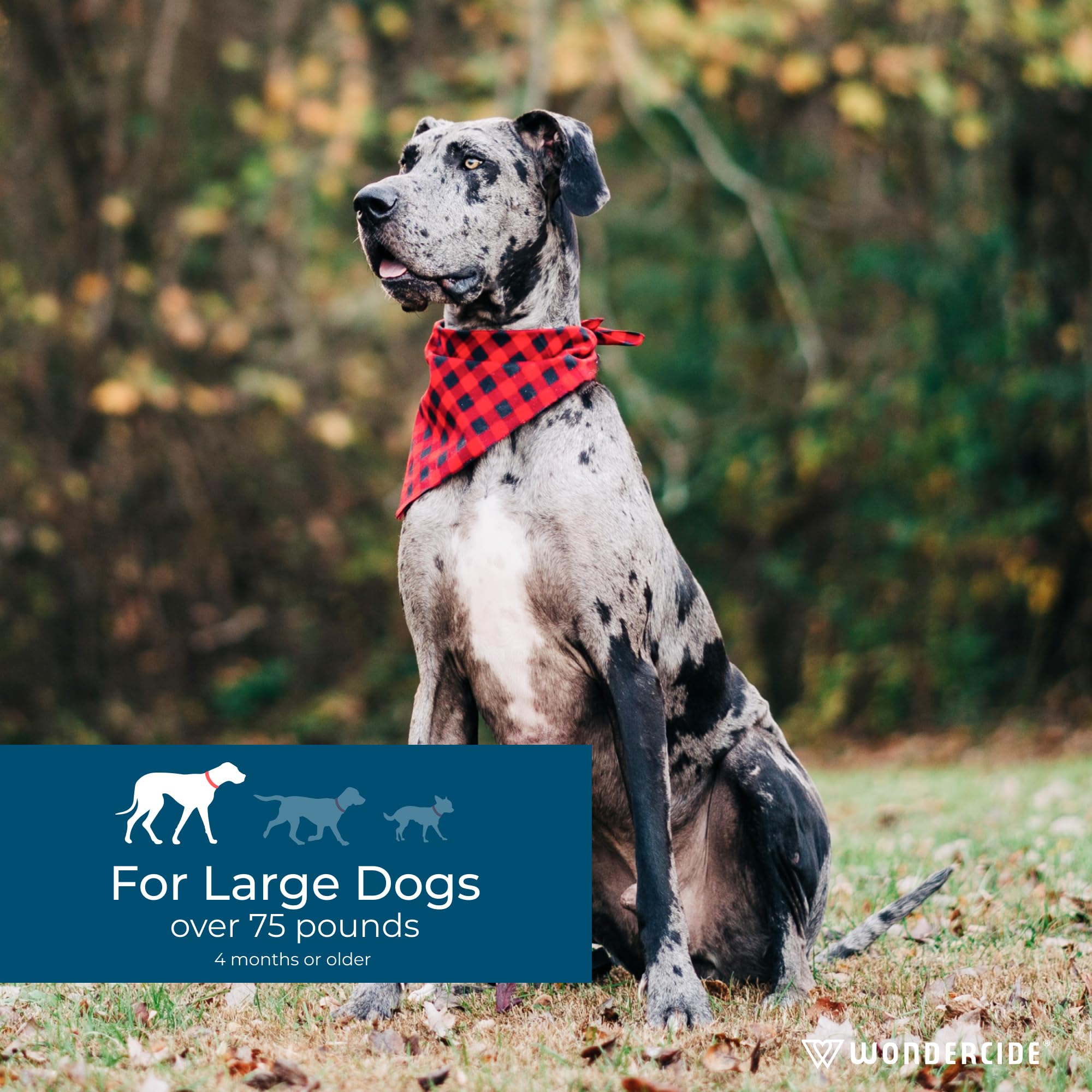 Wondercide dog spot on lab-proven efficacy without harsh chemicals.