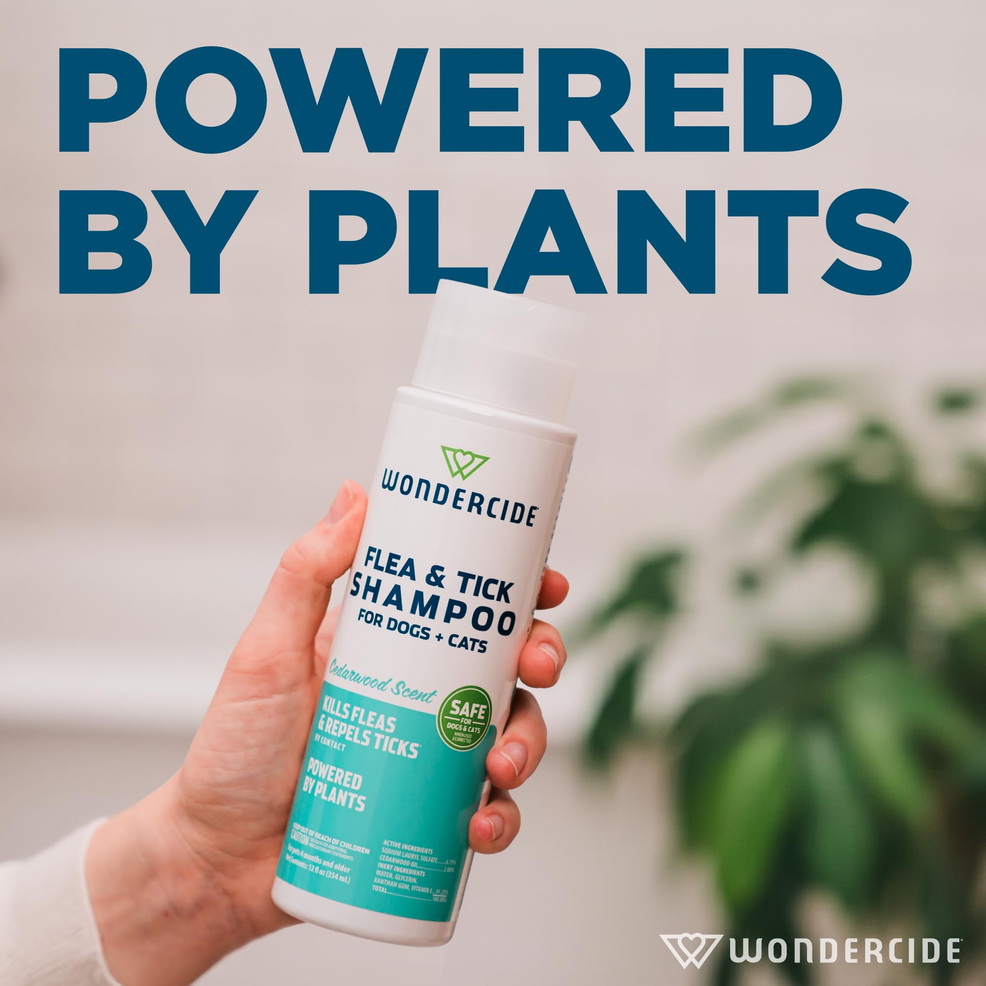 Wondercide cedarwood scent highlighting a woodsy aroma during baths