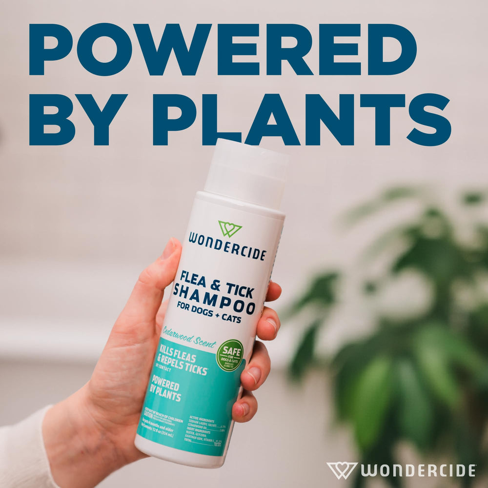 Wondercide cedarwood scent highlighting a woodsy aroma during baths