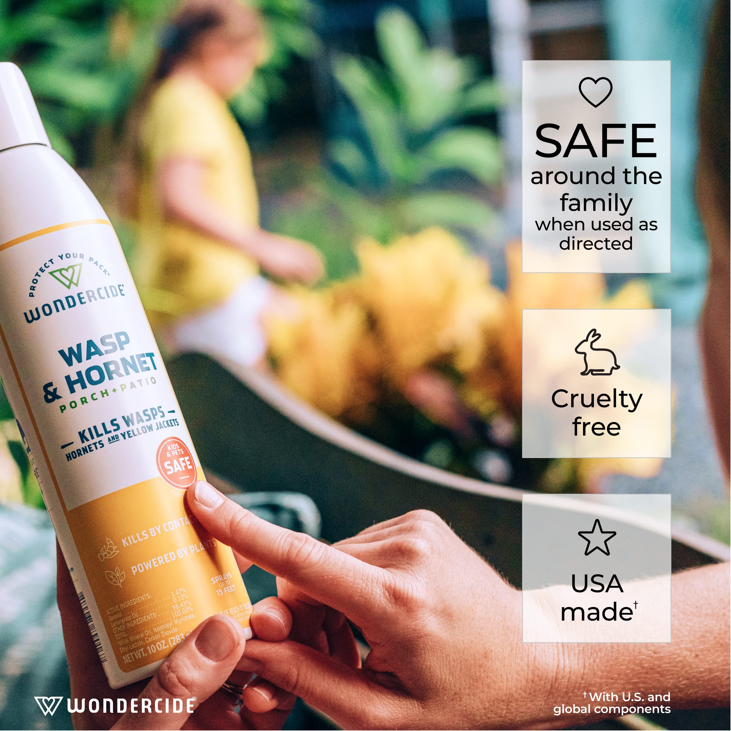 Treatment of open-faced hives with Wondercide.