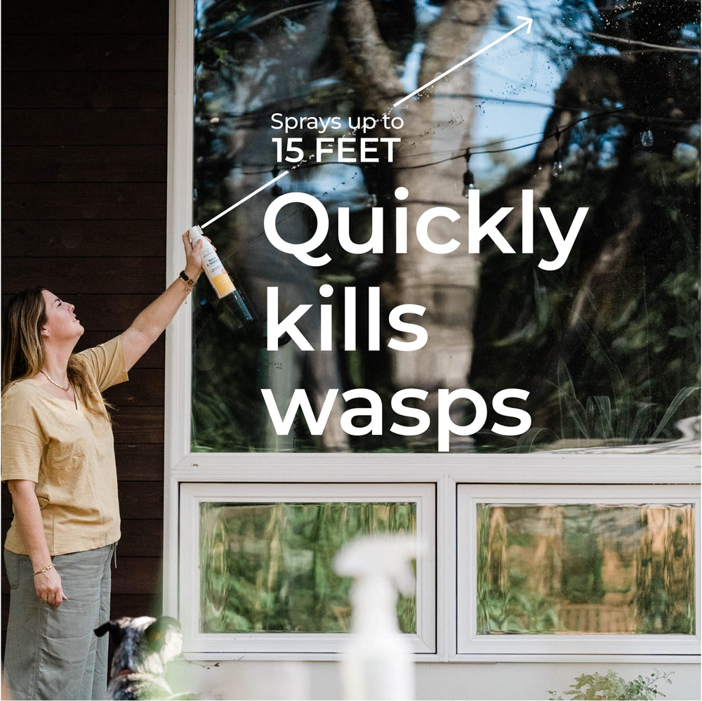 Outdoor porch and patio protected by Wondercide spray.
