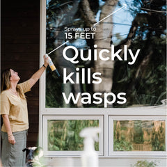 Outdoor porch and patio protected by Wondercide spray.