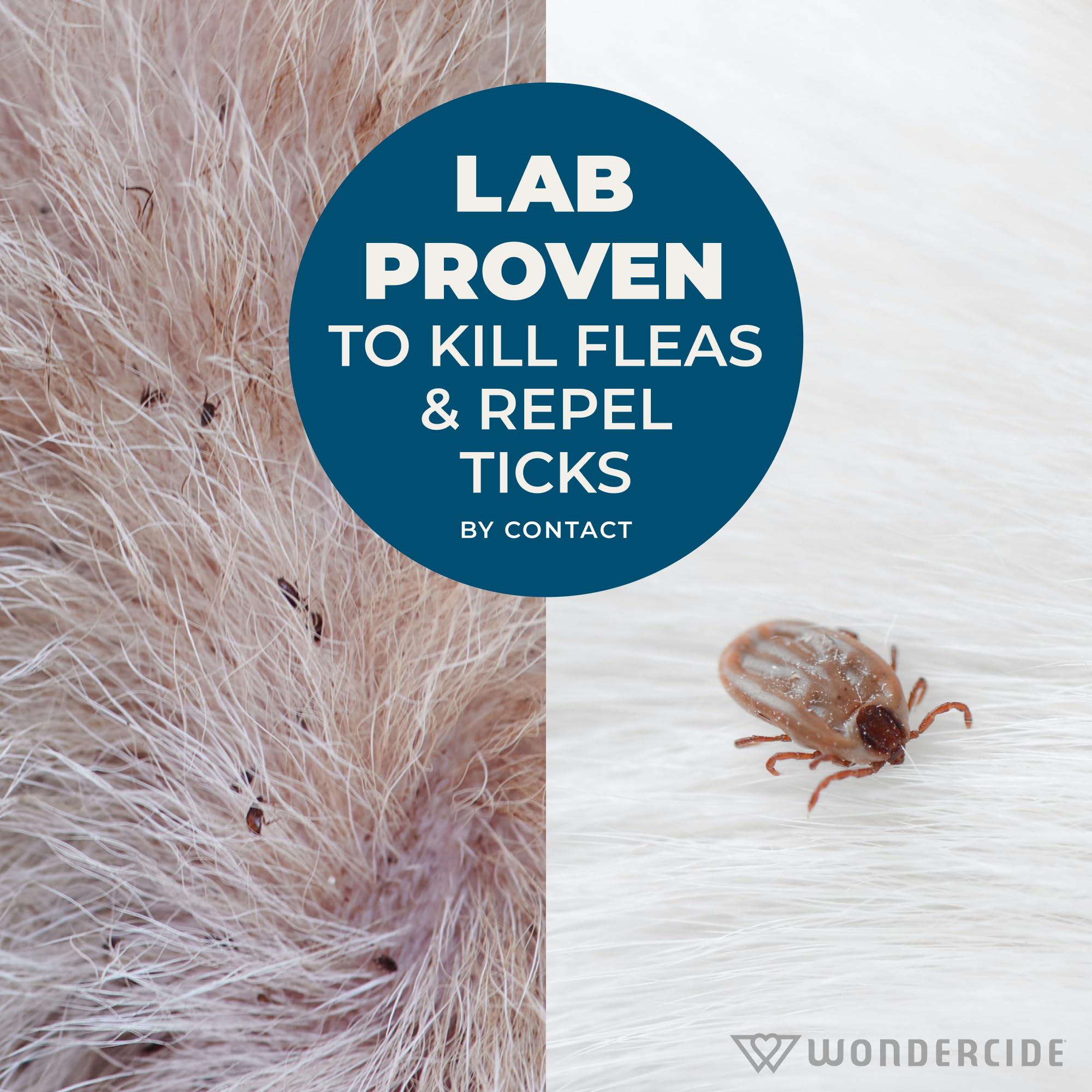 Wondercide shampoo paired with Flea & Tick sprays for complete care