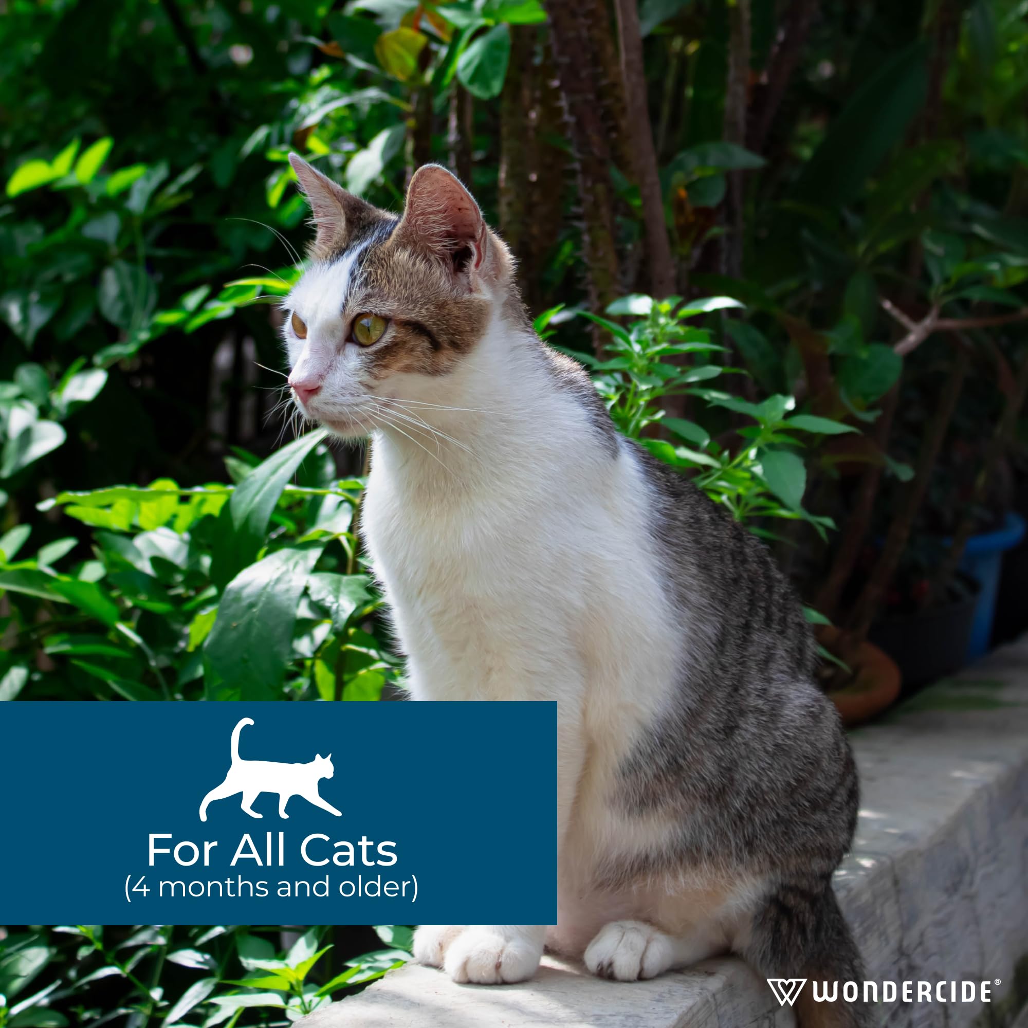 Wondercide plant-powered formula offers natural flea and tick defense for cats.
