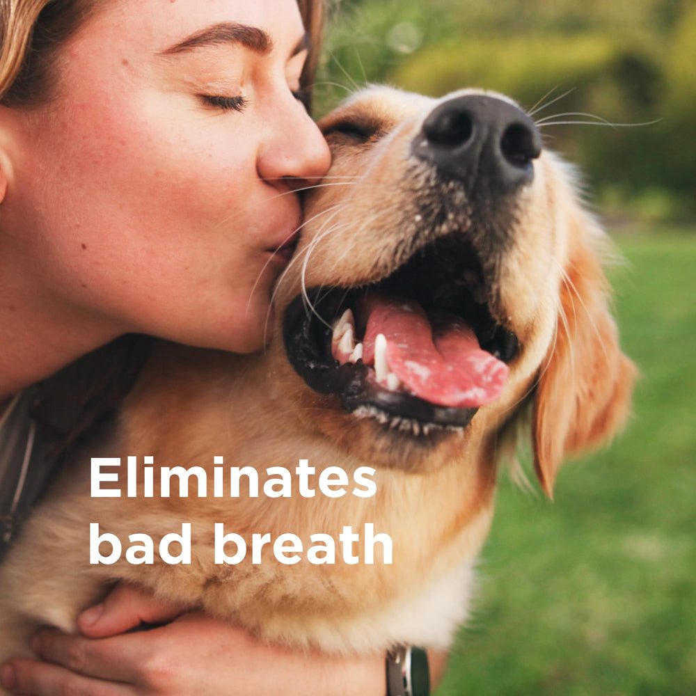 Wondercide Rescue oral spray is lick-safe and alcohol-free for worry-free pet care.
