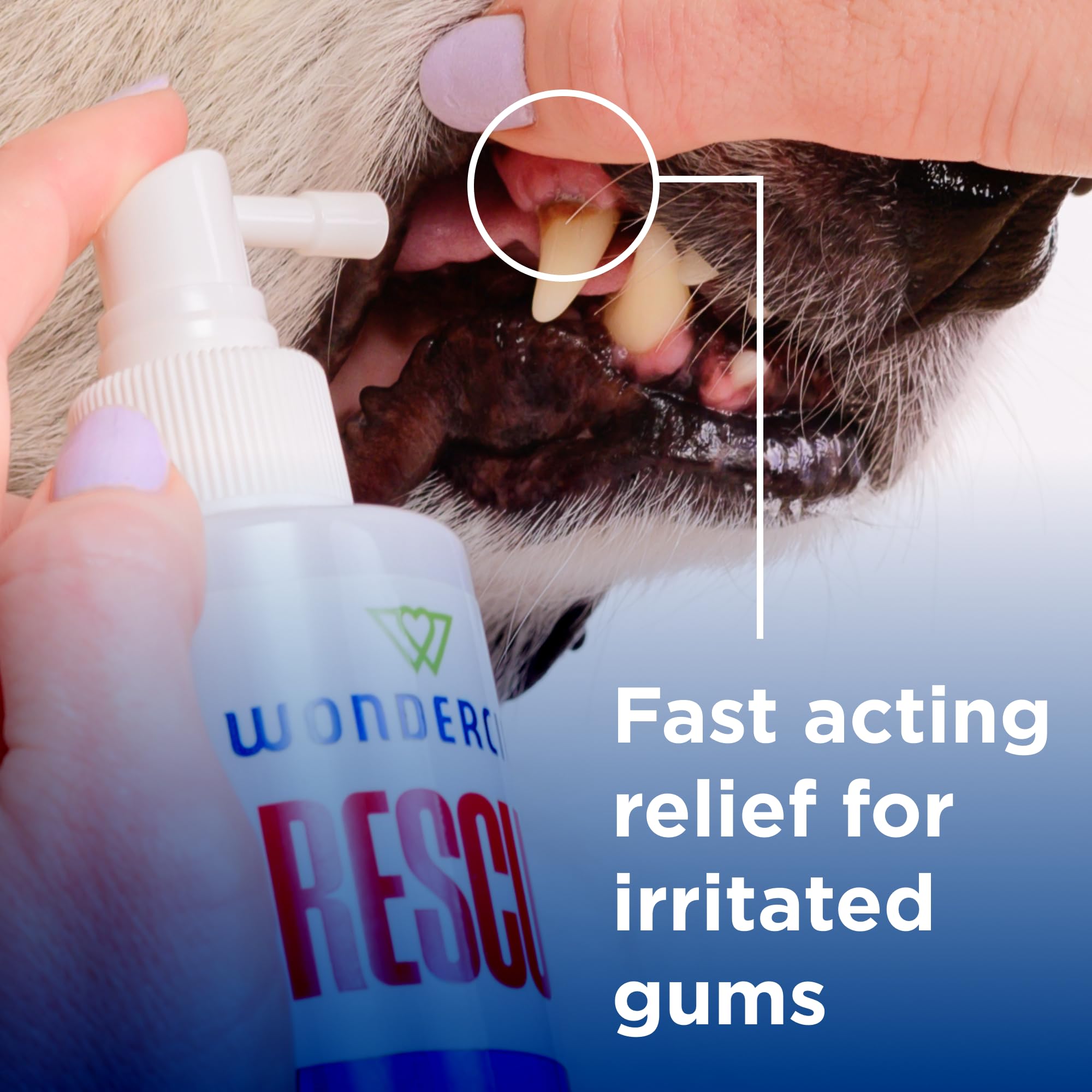 Wondercide Rescue oral spray mist on gums shows targeted application for gentle mouth care.