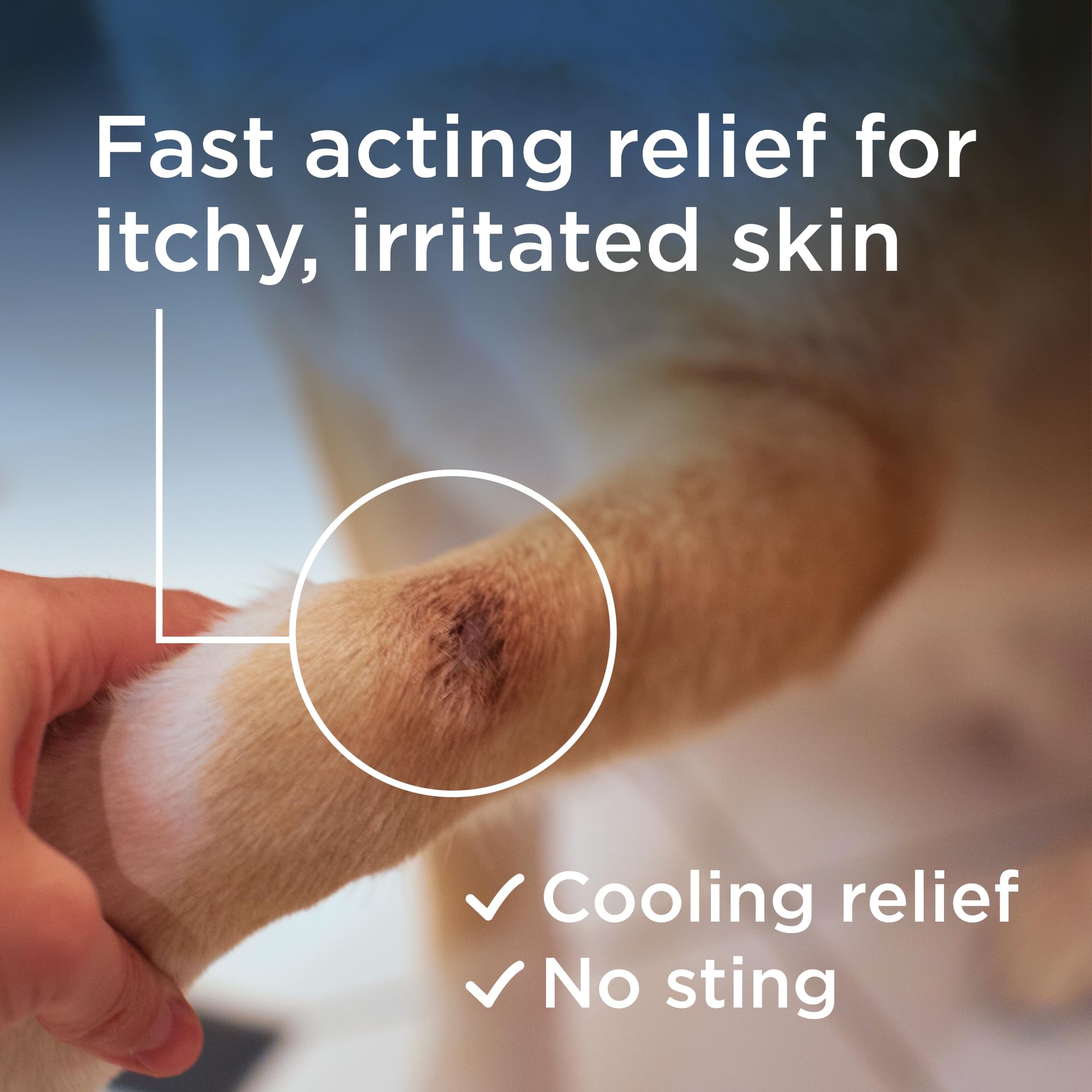 Wondercide Rescue Skin Spray on stomach cooling irritated skin at home