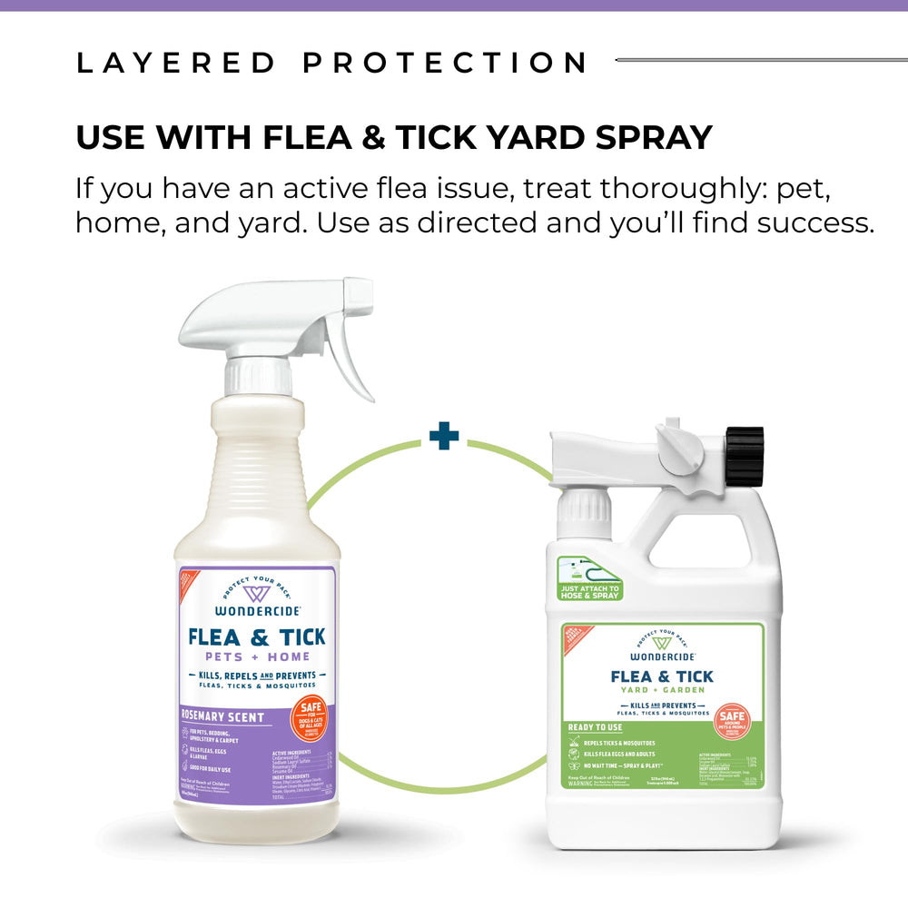 Dog receives Wondercide Rose spray as part of care routine.