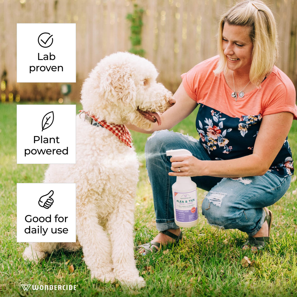 Wondercide Rose spray used around home to treat pet habitats.