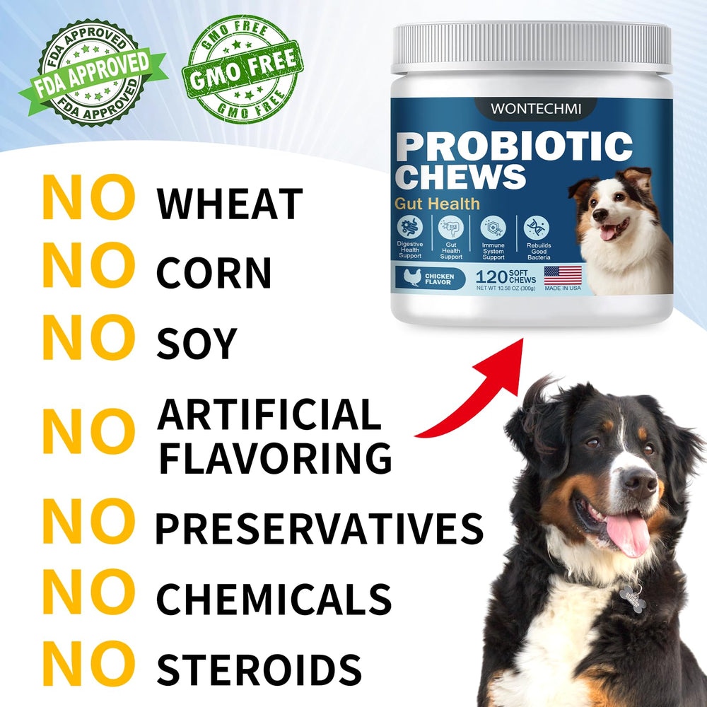 WONTECHMI Probiotics for Dogs dog enjoying chew, potential digestive support