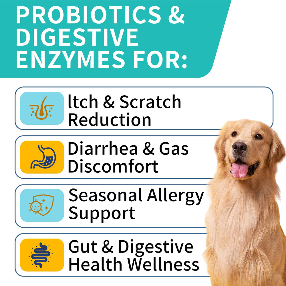 Wontechmi Probiotics for Dogs packaging showing steak-flavored chews for immune support.