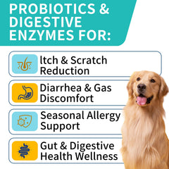 Wontechmi Probiotics for Dogs packaging showing steak-flavored chews for immune support.