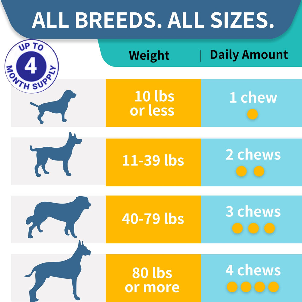 Wontechmi Probiotics for Dogs bottle and dog celebrating vitality.