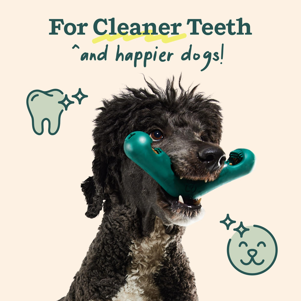 Size guidance for Small and Large dogs for a comfortable fit.