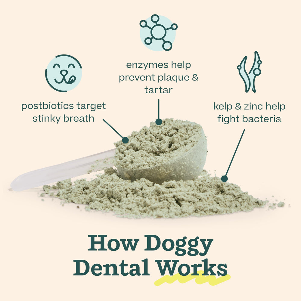 Woof Doggy Dental Pupsicle Bowl and Water illustrates effortless daily use for clean teeth.