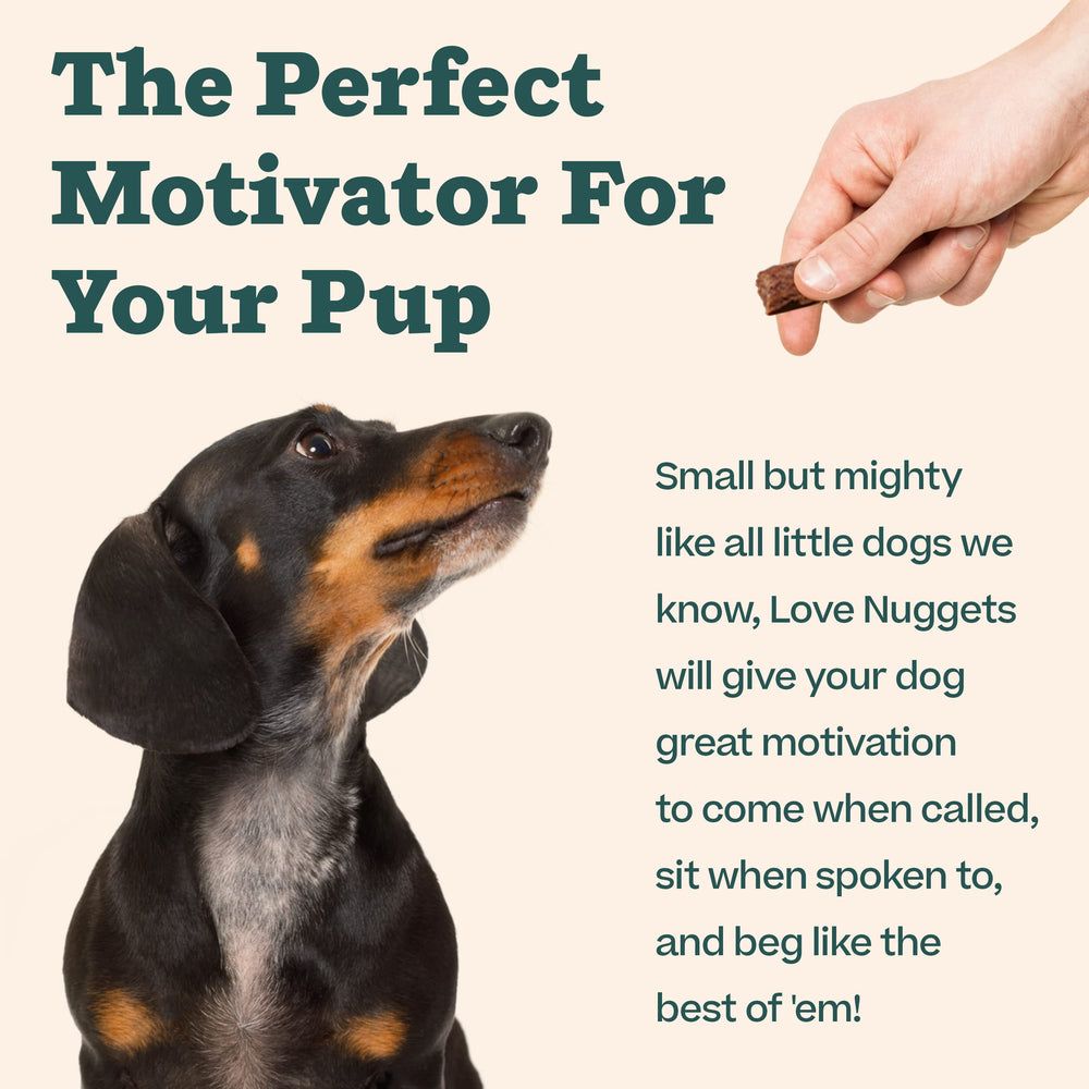 Love Nuggets WOOF, forte teneur en protéines pour stimuler l'énergie lors des sessions.