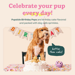 WOOF Pupsicle Birthday Pops refills arrive pre-made for mess-free, on-demand dog enrichment.