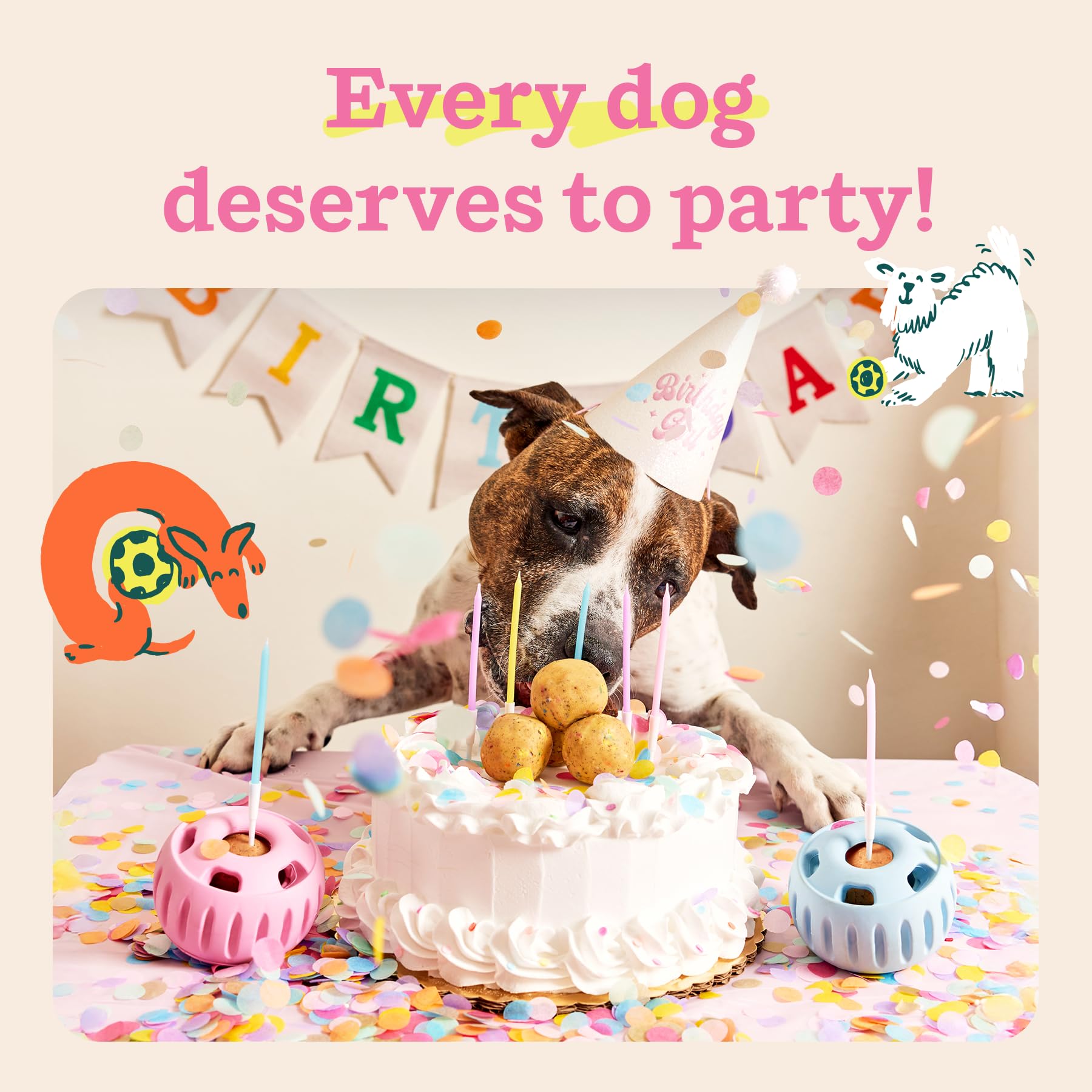 Small dog enjoys a birthday pop, a mess-free celebratory treat.