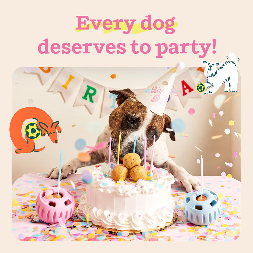 Small dog enjoys a birthday pop, a mess-free celebratory treat.