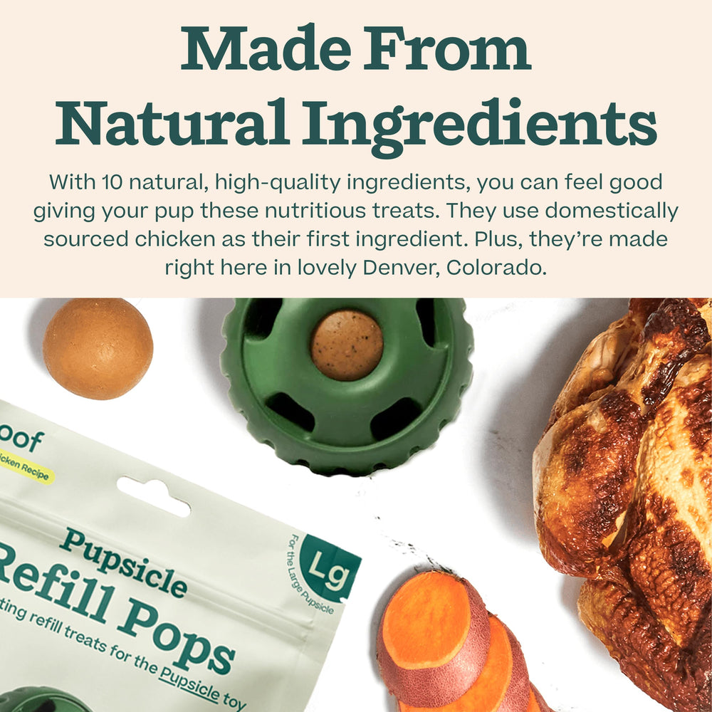 WOOF Pupsicle Chicken Refill Pops on a hike, a convenient treat during adventures.