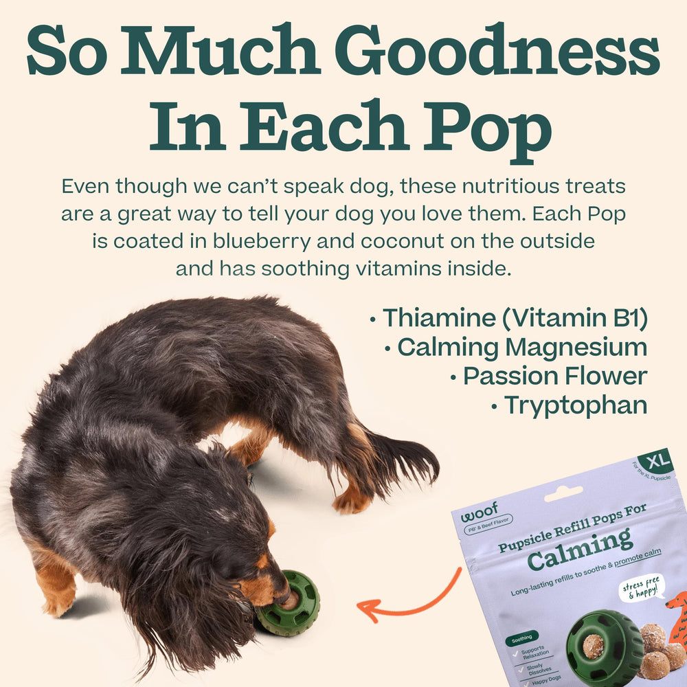 WOOF Pupsicle ready-to-go pops eliminate mess before hikes.
