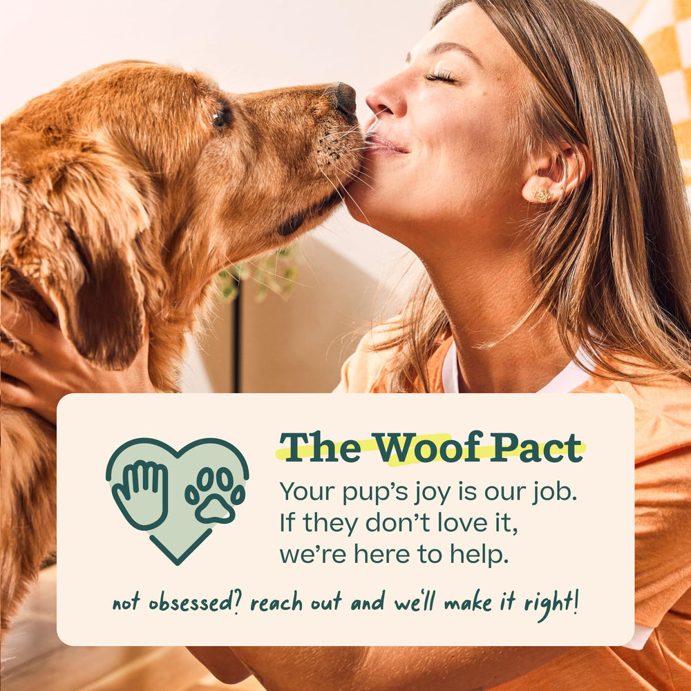 WOOF Pupsicle Refill Pops beef and peanut butter flavor.