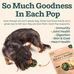 WOOF Pupsicle Refill Pops on a plate for tasty rewards.